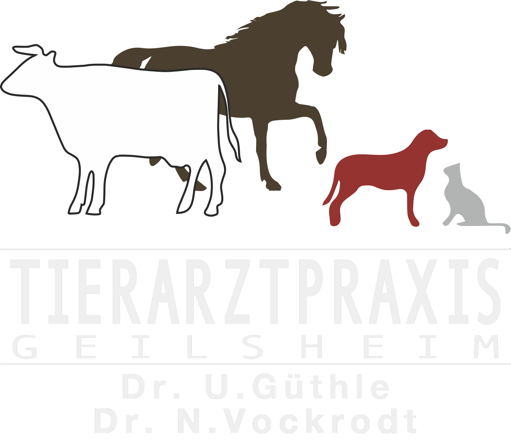 Logo Tierarztpraxis Geilsheim