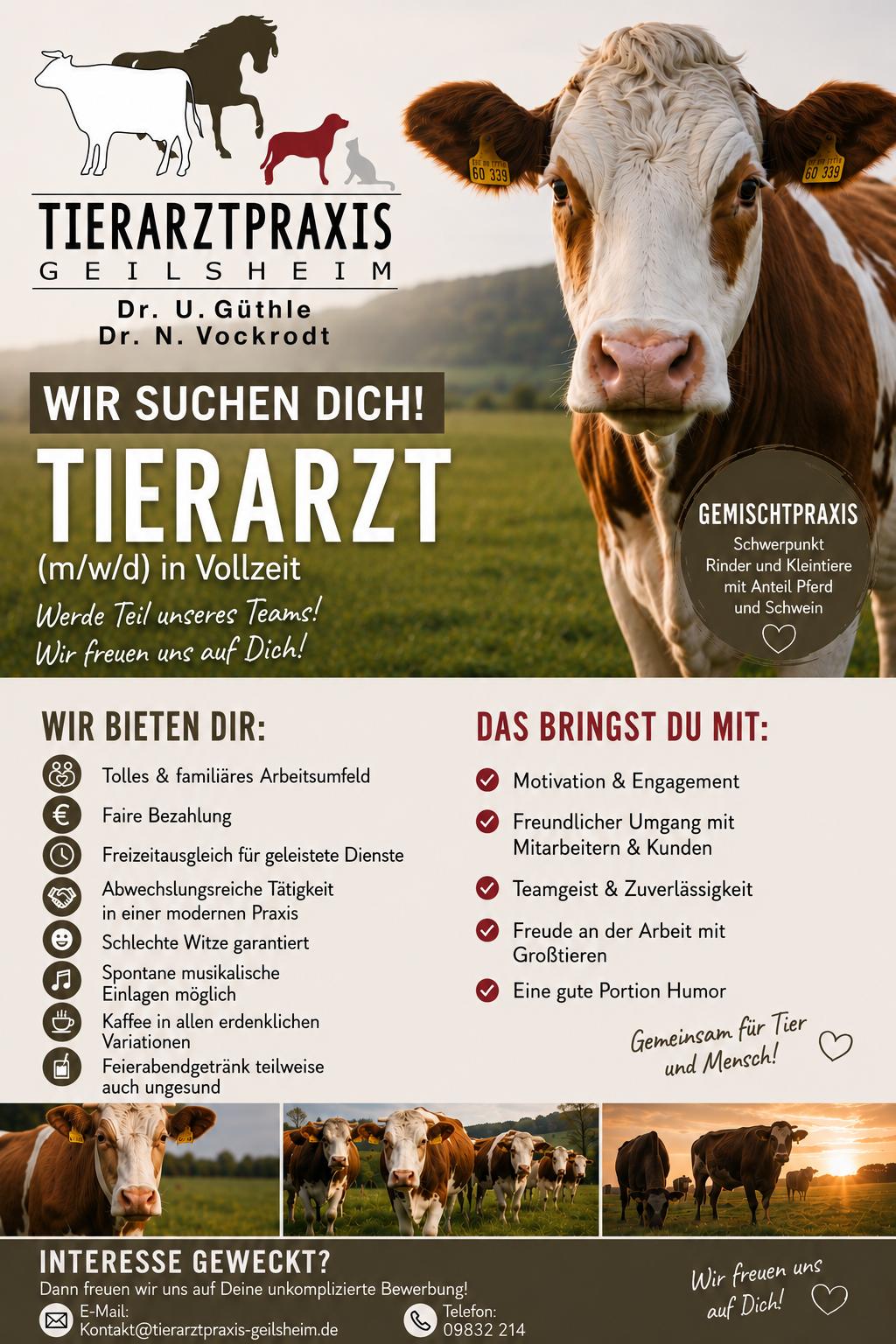 Großtiere Behandlung